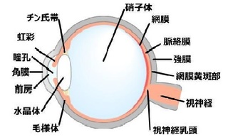 無題.jpg1.jpg